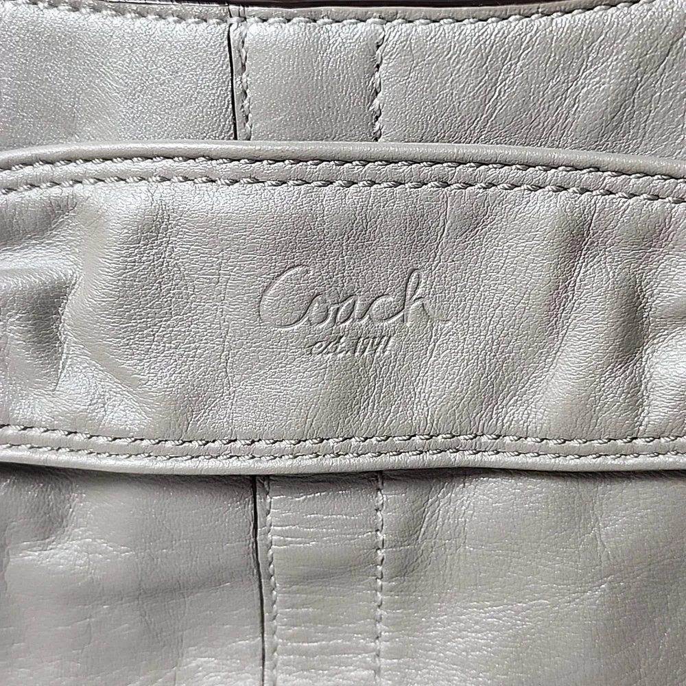 Coach metallic taupe